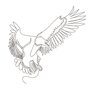 eagle. flying bird. vector contour image of an eagle. one continuous line