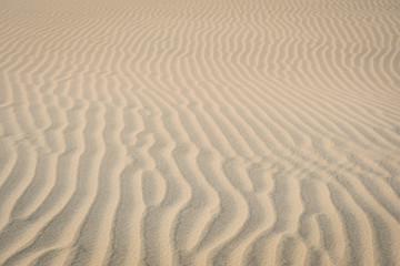 Fototapeta na wymiar Huacachina desert dunes in the Ica region, Peru