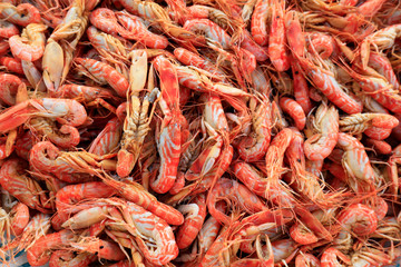 Dog shrimp, special aquatic products in Bohai sea area of China