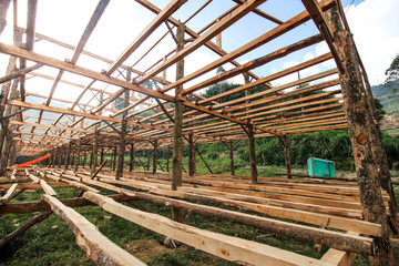 skeleton of a building made of wood