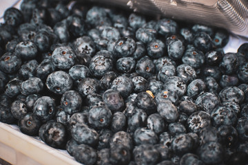 blueberries background 