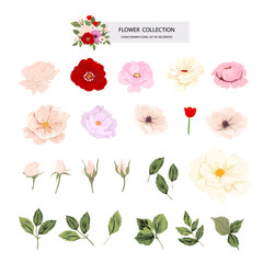 Set of floral branch. Flower and rose  design element for wedding logo. Floral poster, Vector arrangements for greeting card or invitation design template vector