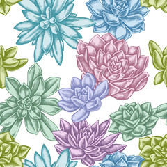 Seamless pattern with hand drawn pastel succulent echeveria