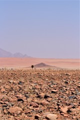 Beautiful landscape - dunes and desert in the back - Namibia. Near Namib Naukluft Nationalpark Sossusvlei