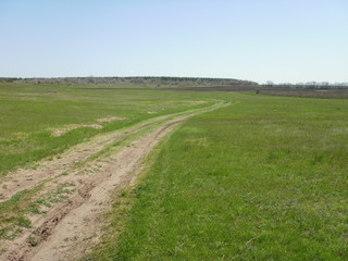  road in a field among green grass