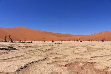 Landscape view of dead vlei in namib naukluft nationalpark, sossusvlei, namibia