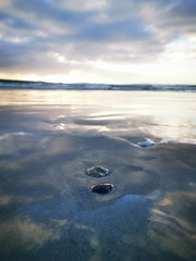 Sunset over the ocean and some small shells and rocks.