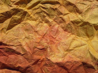 texture of dry leaves