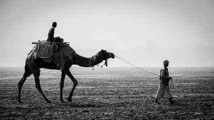 Man riding camel at river bank