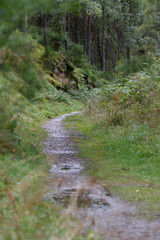 Path tru the Highlands