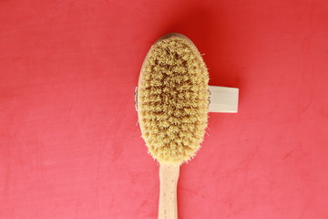shower brush for the back