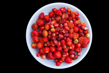 Flat top view of a white plate with a large handful of red strawberries after harvesting on a summer warm day for food or preparation of vitamin juice on a black isolated background.