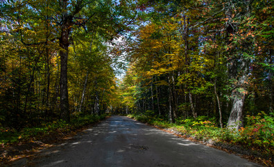 Obraz premium A Beautiful Mountain Road in Autumn