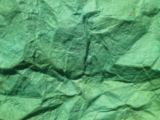 texture of green leaf