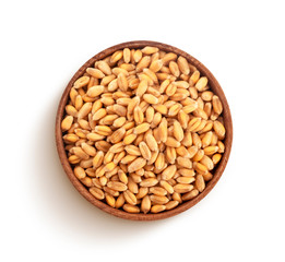 Wheat grains isolated on white background, top view