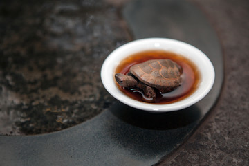  tea cup wet stone background  