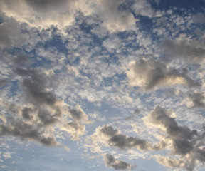 Nephology art. A beautiful sky cloudscape scene, with mixed apricot Cumulus and Altocumulus cloud in a blue sky.