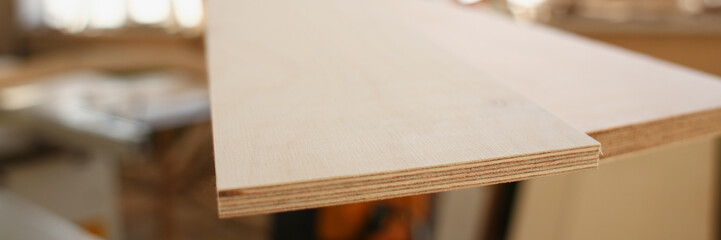 Portrait of a smiling carpenter