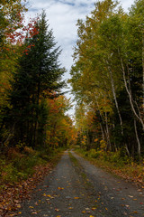 A Beautiful Mountain Road in Autumn