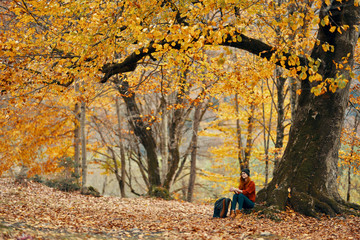 autumn in the park