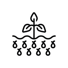 Black line icon for seed  