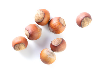 Hazelnuts nuts isolated on a white background