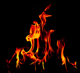 Flame of fire on a black background