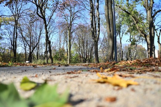 park jesienią