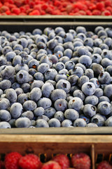 Fresh organic blueberries at a farmers market in summer