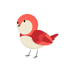 Cute little colorful bird isolated on white background. Common house sparrow. Small bird in cute cartoon style. Isolated vector clip art illustration. Bird superb fairy wren vector Illustration