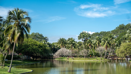 Man-made lake garden