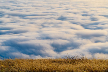 Fog at Mount Tamalpais