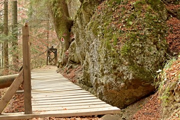 Wooden bridge in the forest along of a stone in autumn color season.