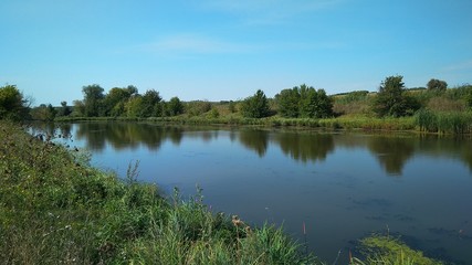 River with green shores and reeds. Photo of a beautiful river with green banks.
