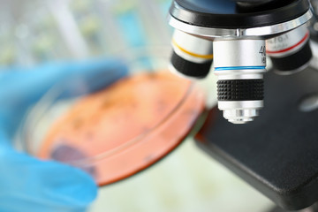 A male chemist holds test tube of glass in his hand