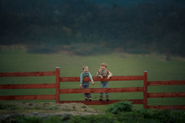 Two brothers of the boy sit on a ranch on a wooden fence against a green field.