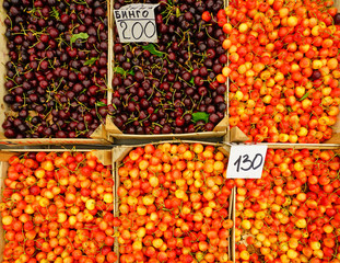 Fresh red and yellow cherries at a farmers market