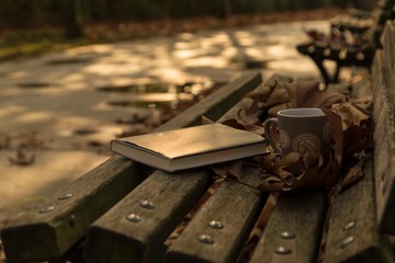 .fall leaf and coffee on bench . autumn concept