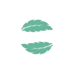 Mint leaves flat vector color icon