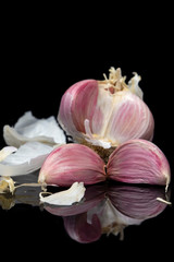Garkic bulb and cloves with reflection isolated on a black background