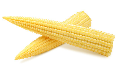 baby corn, isolated on white background, clipping path, full depth of field