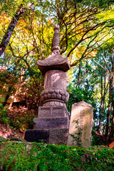 Obraz premium 岩戸寺の紅葉