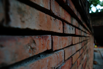Red brick wall with selective focus.