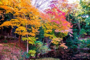 文殊仙寺の紅葉