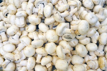 Fresh white button mushroom at the farmers market