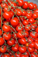 Branches of colorful tomatoes at the farmers market