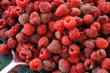 Fresh raspberries at a farmers market