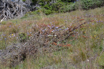Olympic National Park, Washington