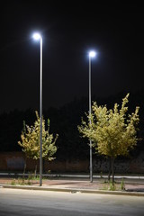 Obraz premium Night Urban Scene Illuminated by Lamp with Road