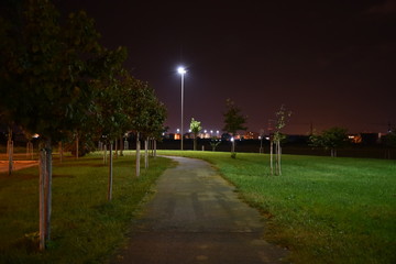 Night Illuminated park by Night in the City